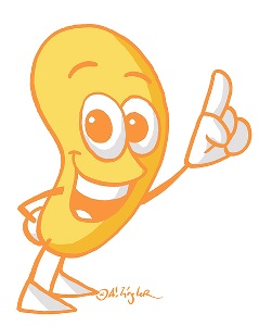 Nierli informiert Sie!Dialyse, Nierenerkrankungen, Nieren, Nierenkrankheit, Transplantation, Organspende, Interessengemeinschaft Niere Schweinfurt